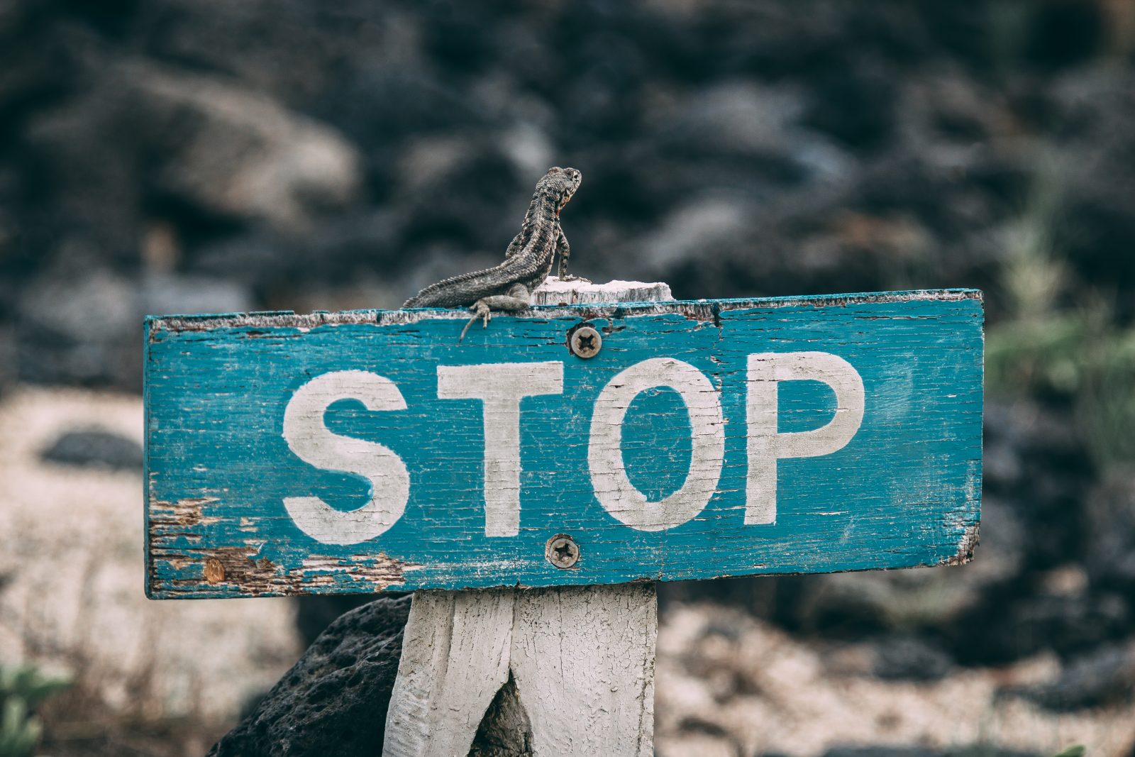 Lesson 7: Yes, You Do Have A Stop Button