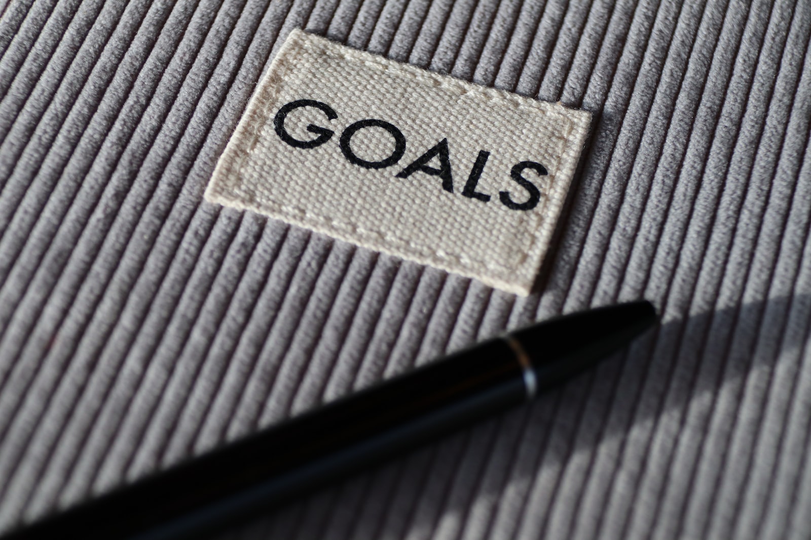 Section One Goals Checklist