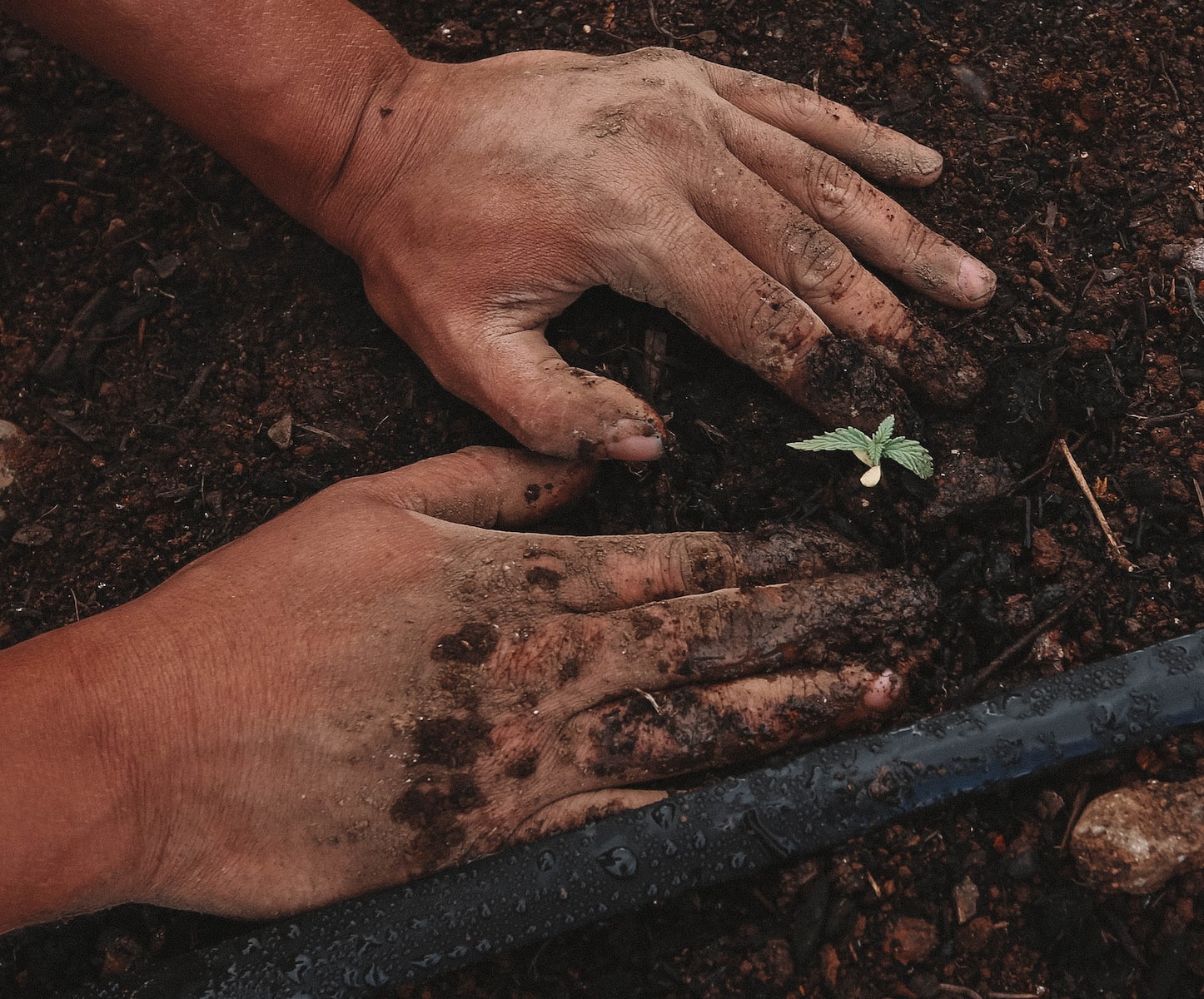 Lesson 14: Mary, Mary, Quite Contrary, How Did Your Garden Grow?