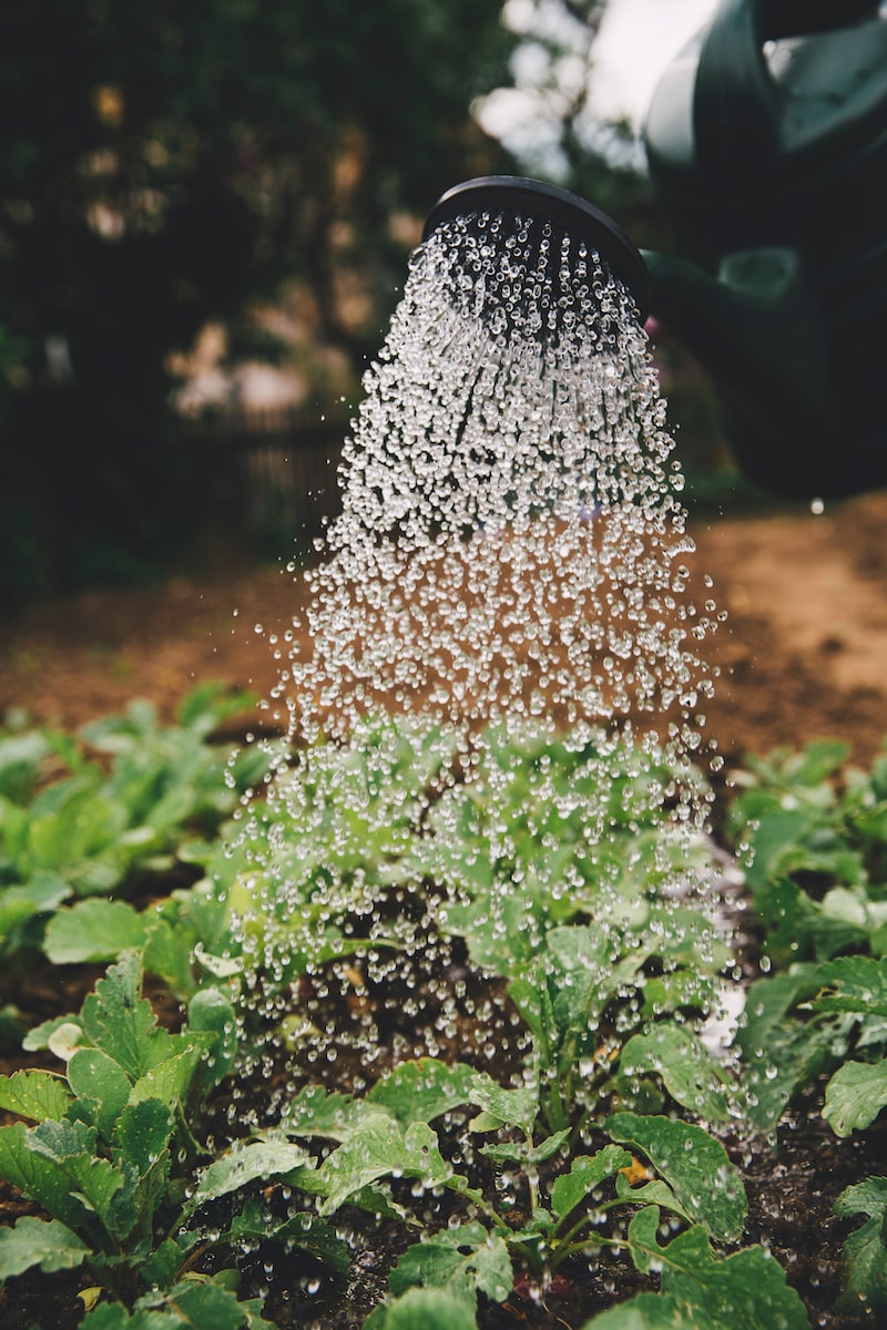 Lesson 13: The Pursuit of the Familiar Happiness vs. the Happiness We’re Cultivating