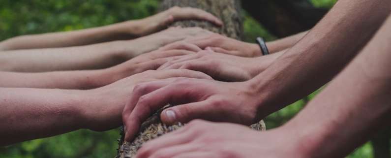 a group of people holding hands on top of a tree