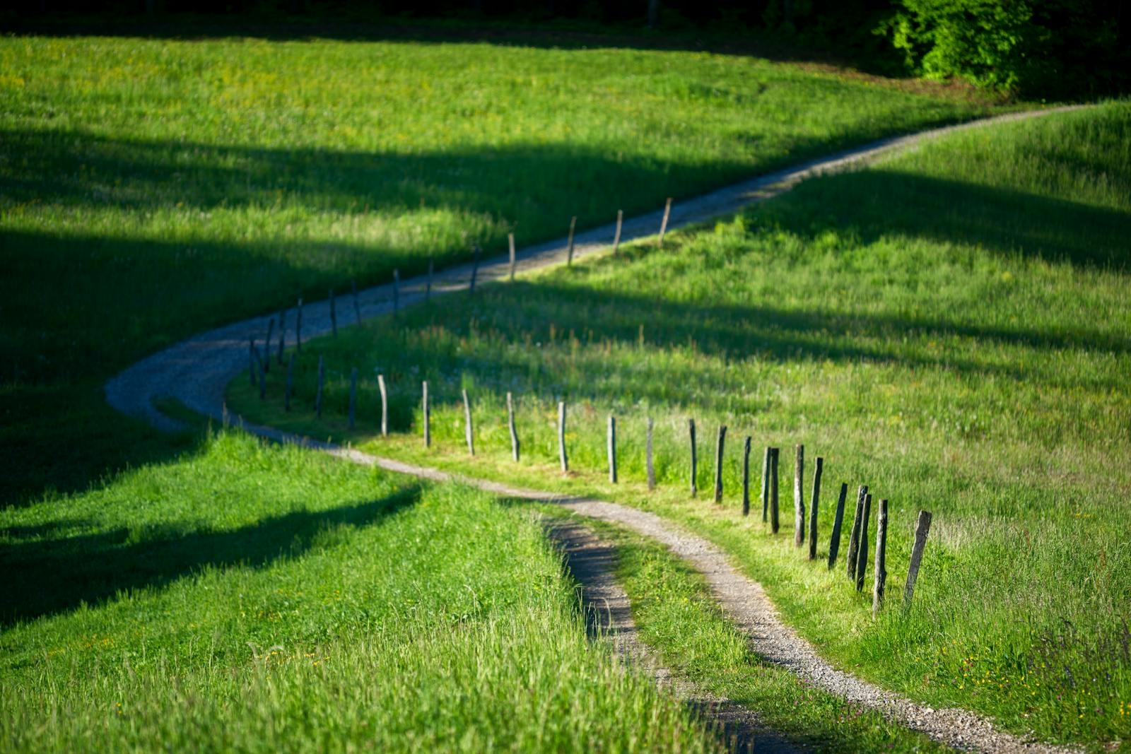 A peaceful winding path through lush green fields under morning light, perfect for travel inspiration.